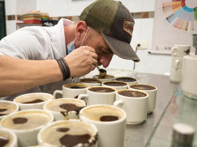 mand dufter til kaffe i kopper der er gjort klar til cupping