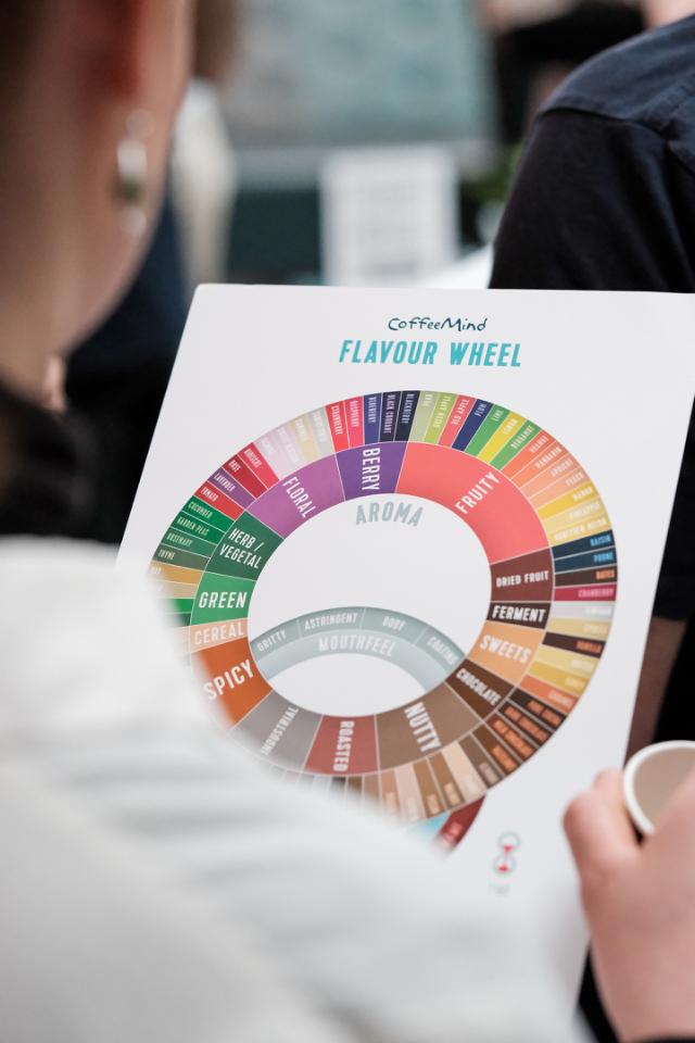 person staar med ryggen til og kigger paa et flavour wheel