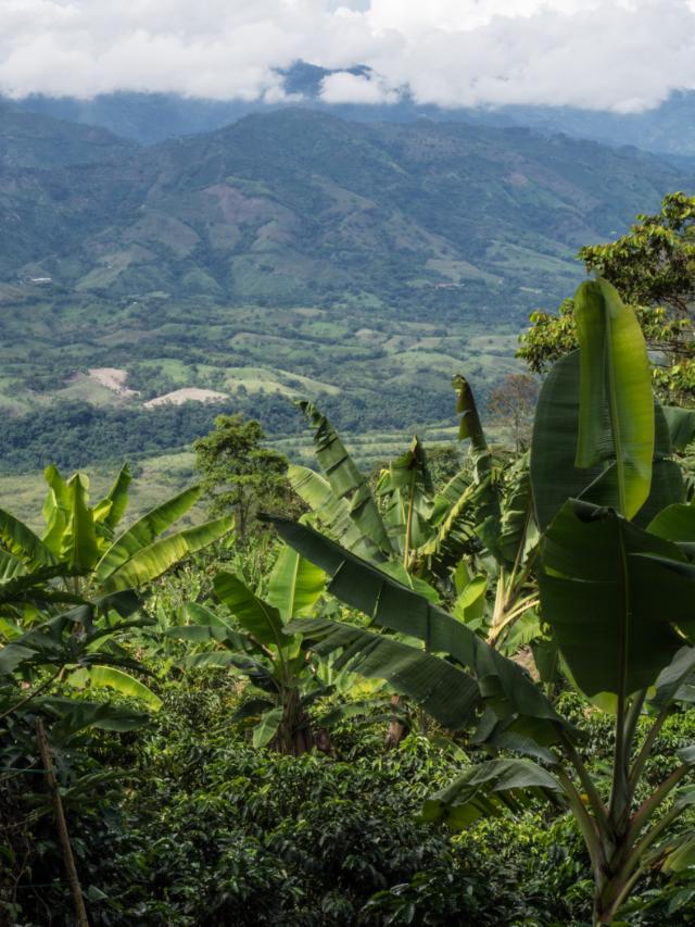 Bjerglandskab i colombia