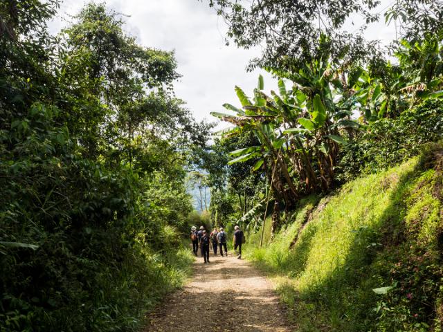 landskabsbillede fra colombia